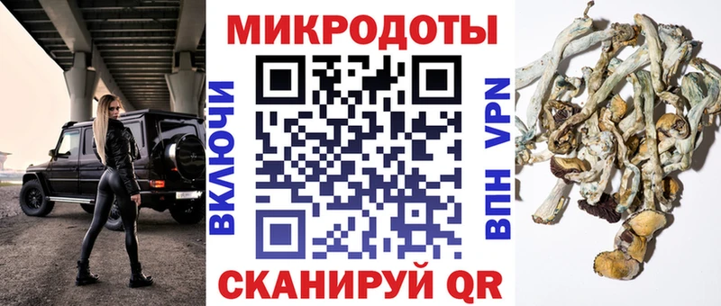 кракен ССЫЛКА  Макушино  Псилоцибиновые грибы Psilocybe 